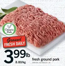 Fortinos FRESH GROUND PORK offer