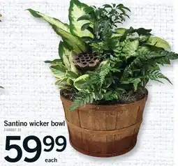 Fortinos SANTINO WICKER BOWL offer