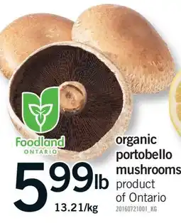 Fortinos ORGANIC PORTOBELLO MUSHROOMS offer