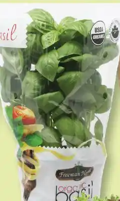 Fortinos ORGANIC BASIL, 5.5 pot offer