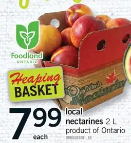 Fortinos LOCAL NECTARINES offer