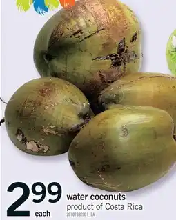 Fortinos WATER COCONUTS offer