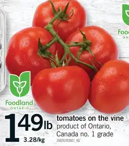 Fortinos TOMATOES ON THE VINE offer