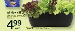 Fortinos WINDOW SILL CONTAINER offer