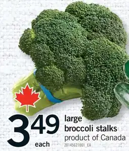 Fortinos LARGE BROCCOLI STALKS offer
