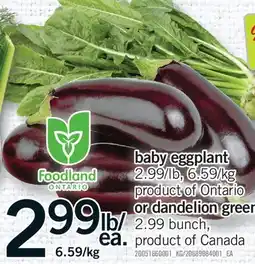 Fortinos BABY EGGPLANT OR DANDELION GREEN, 2.99 BUNCH offer