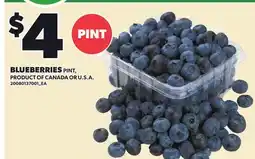 Loblaws BLUEBERRIES, PINT offer