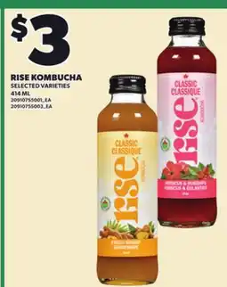 Loblaws RISE KOMBUCHA offer