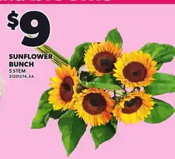 Loblaws SUNFLOWER BUNCH, 5 STEM offer