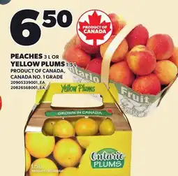 Loblaws PEACHES, 3 OR YELLOW PLUMS 1.51, L offer
