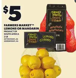 Loblaws FARMERS MARKET LEMONS OR MANDARIN, 2 LB offer