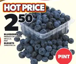 Independent Grocer BLUEBERRIES, PINT offer
