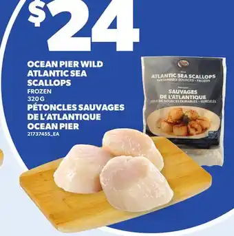 Independent Grocer OCEAN PIER WILD ATLANTIC SEA SCALLOPS offer