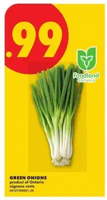 No Frills GREEN ONIONS offer