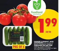No Frills FARMER'S MARKET MINI CUCUMBERS, PKG OF 6 or TOMATOES ON THE VINE offer