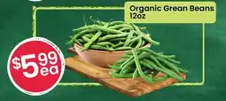 Healthy Planet Organic Grean Beans offer