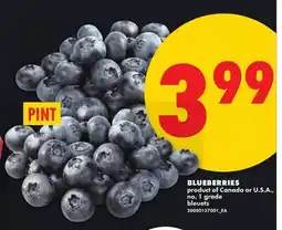 No Frills BLUEBERRIES, pint offer