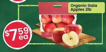 Healthy Planet Organic Gala Apples offer