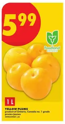 No Frills YELLOW PLUMS offer