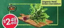Healthy Planet Organic Red/Green Dandelion offer