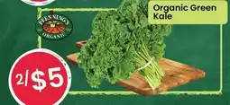 Healthy Planet Organic Green Kale offer