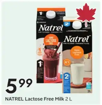 Sobeys Lactose Free Milk offer