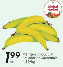 Sobeys Plantain offer