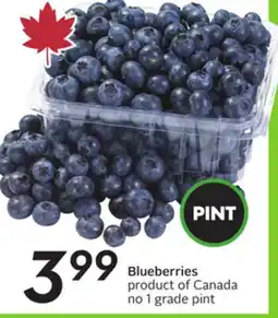Sobeys Blueberries offer