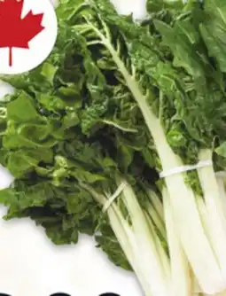 Metro GREEN OR RED SWISS CHARDS OR DANDELION GREENS offer