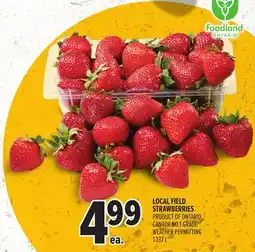 Metro LOCAL FIELD STRAWBERRIES offer