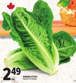 Metro ROMAINE LETTUCE offer