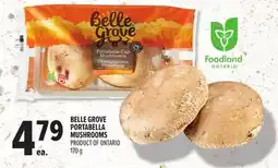 Metro BELLE GROVE PORTABELLA MUSHROOMS offer