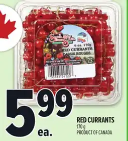 Metro RED CURRANTS offer