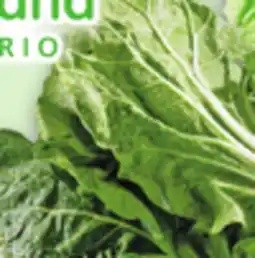 Metro BOK CHOY OR NAPPA CABBAGE offer
