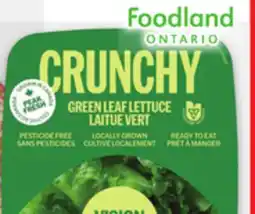 Metro VIDALIA YELLOW SWEET ONIONS OR VISION GREENS LETTUCE offer