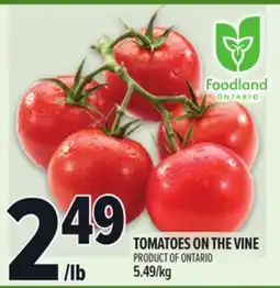 Metro TOMATOES ON THE VINE offer