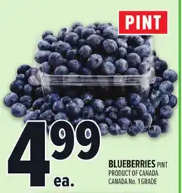 Metro BLUEBERRIES offer