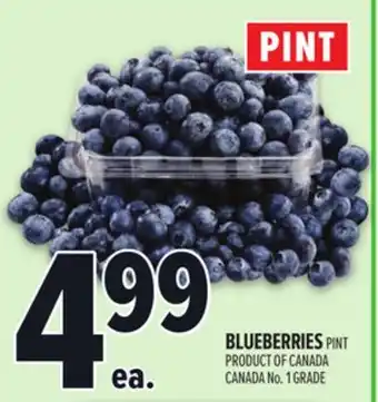 Metro BLUEBERRIES offer