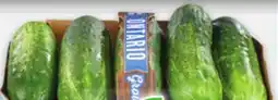 Metro LOCAL BASKETS PEACHES OR DILL CUKES OR YELLOW PLUMS offer
