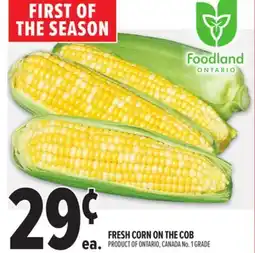 Metro FRESH CORN ON THE COB offer