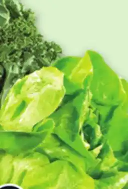 Metro BOSTON LETTUCE OR GREEN OR BLACK KALE offer