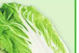 Metro BOK CHOY OR NAPPA CABBAGE offer