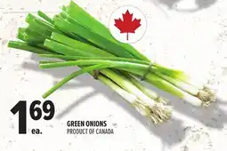 Metro GREEN ONIONS offer