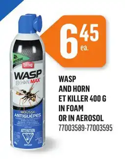 Canac Wasp and Hornet Killer 400g foam offer
