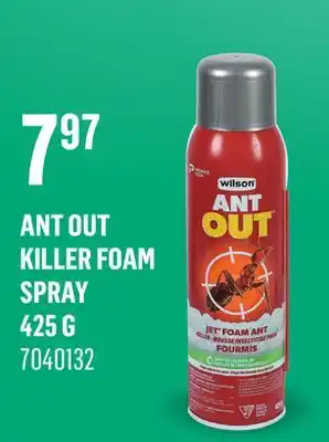 Canac Ant Out Killer foam spray 425g offer