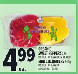 Metro ORGANIC SWEET PEPPERS, MINI CUCUMBERS offer