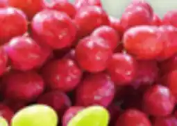 Metro EXTRA LARGE GREEN OR RED OR LARGE BLACK SEEDLESS GRAPES offer