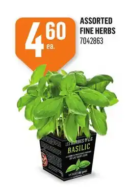 Canac Assorted Fine Herbs offer