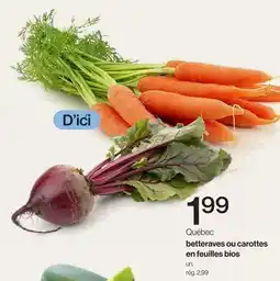 Avril betteraves ou carottes en feuilles bios offer