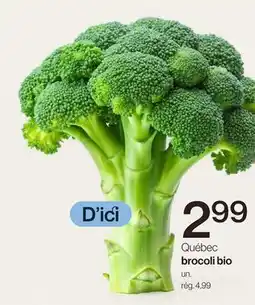 Avril Québec brocoli bio offer